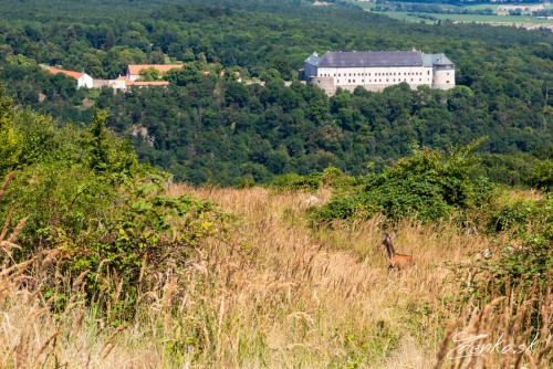 Hrad Červený kameň