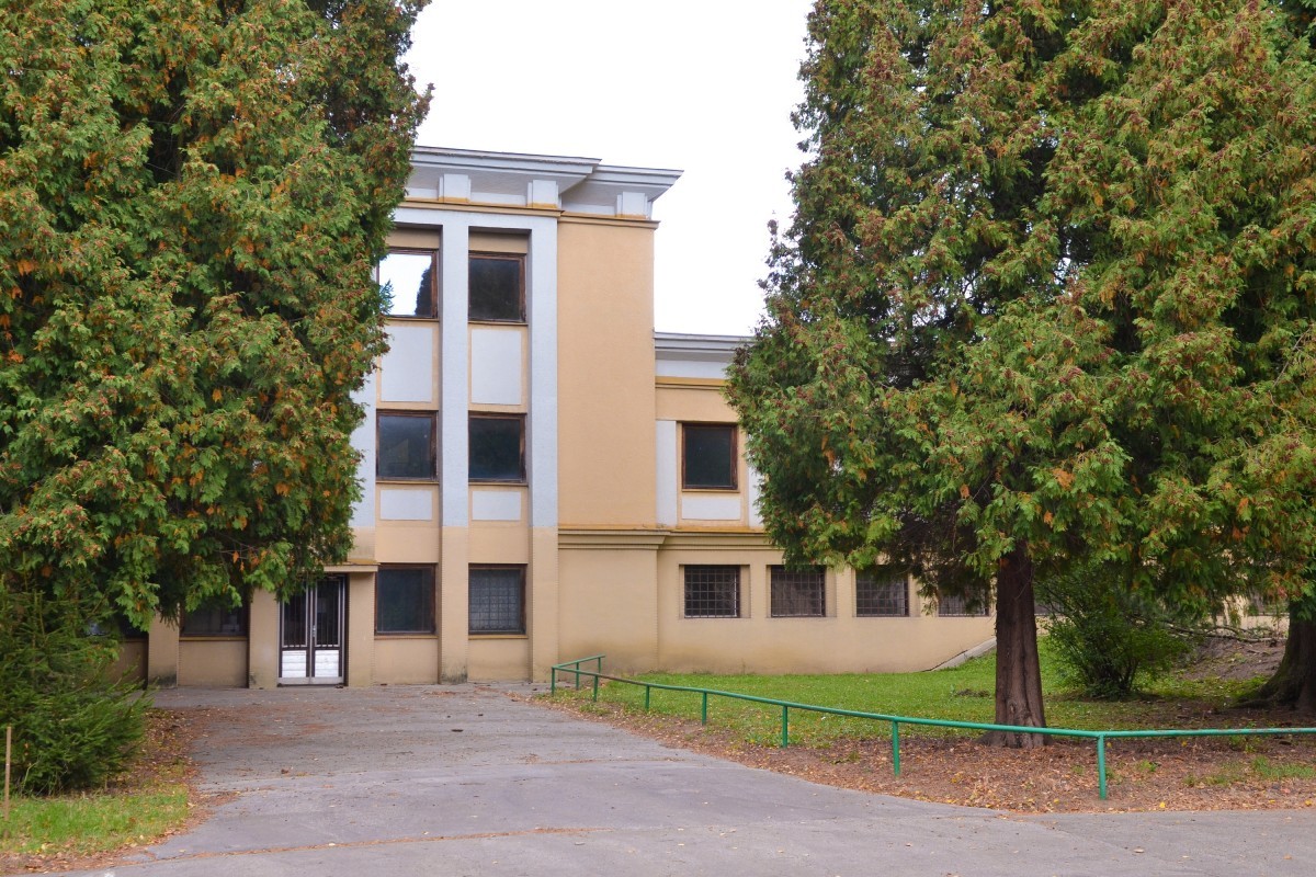 DSC 1163