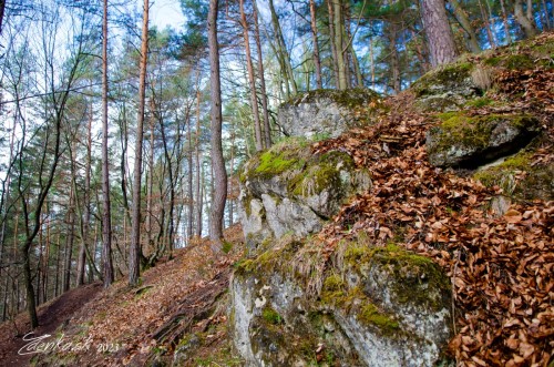 Súľovské vrchy