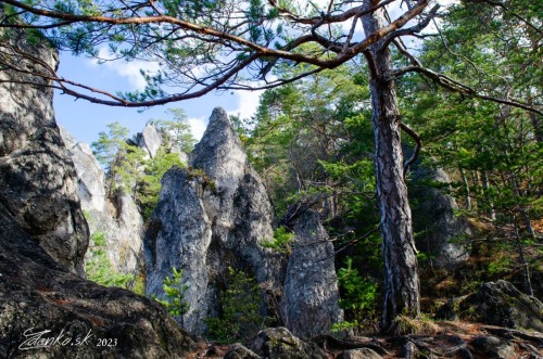 Súľovské vrchy